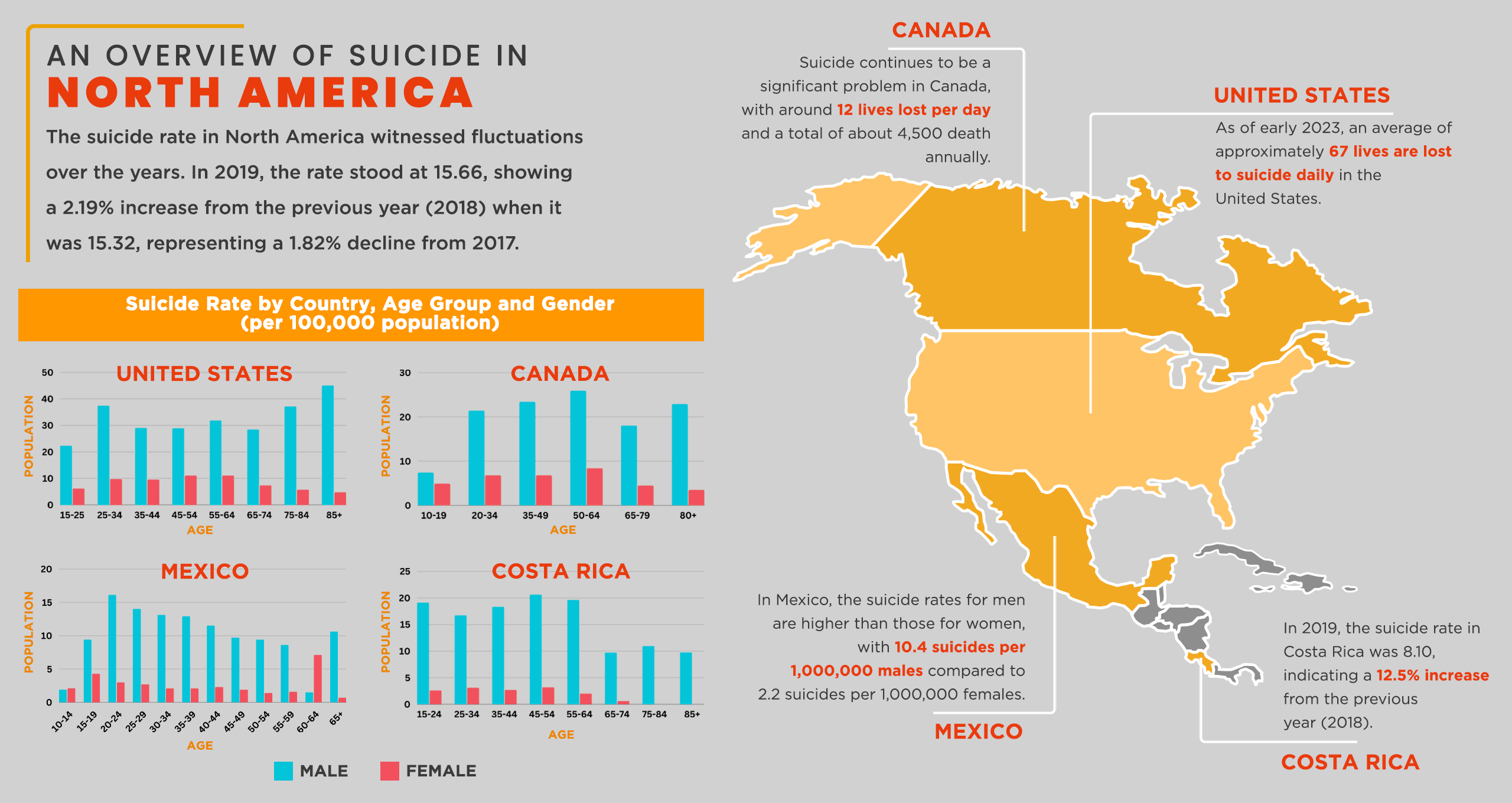 An Overview of Suicide in North America