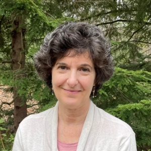 Miriam Rubin, Ph.D., CBSM, DBSM, Psychologist in Arlington, MA