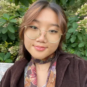 Rachel Hong, , Licensed Clinical Social Worker in Brookline, MA 02446