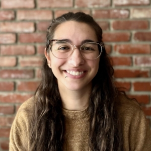 Maryann Bavisotto, LMSW, Social Worker in Buffalo, NY 
