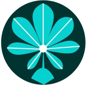 Chestnut hill Therapy collective