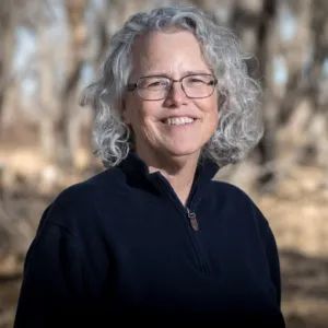 Melody (Mel) Jones, LPC, Licensed Professional Counselor in Centennial, CO 