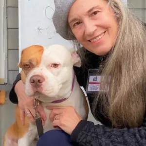 Deirdre Drohan Forbes, LCSW, Licensed Clinical Social Worker in Hastings on Hudson, NY 