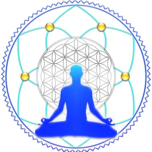 Ascend The frequencies