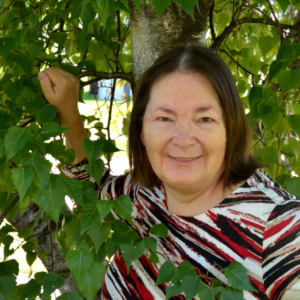 Dr. Evelyn Comber, Ph.D., L.C.P.C., M.A., M.P.C., M.H.S., Licensed Professional Clinical Counselor in , Ilinois 