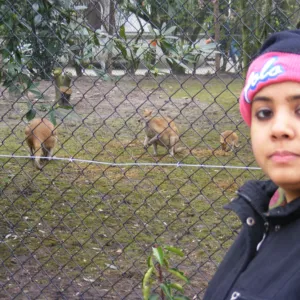 Rubina Anis