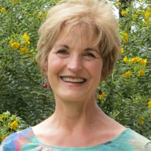 Terri Hager, MSW, LCSW, Clinical Social Worker  in Oak Park, IL 