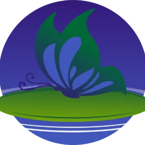 Life & wellness Counseling and consulting, pllc