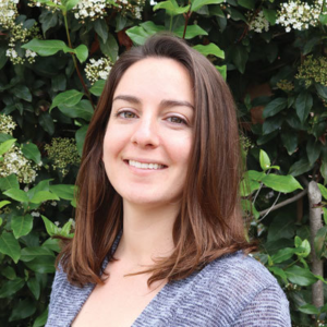 Catherine Armao, LCSW, PMH-C, Licensed Clinical Social Worker  in New York 