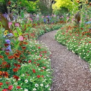 Christine James, PsyD., LPC, Licensed Professional Counselor in Pawleys Island, SC 