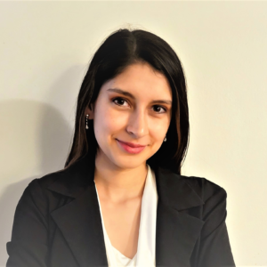 Ana Gardner, LCSW, Clinical Social Worker   in Florida 