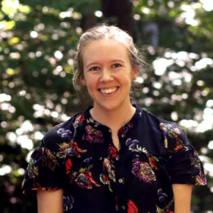 Diana Green, MSW, LCSW, Therapist  in North Carolina 