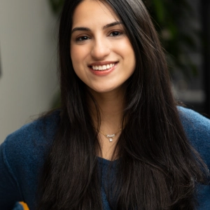 Zeist Rizvi, MHC-LP, Mental Health Counselor in New York, NY 10001