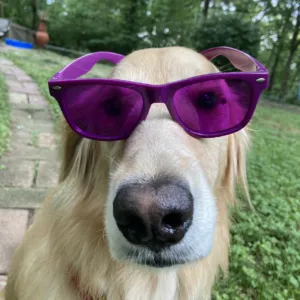 C H, , Counselor  in Missouri 