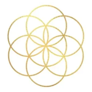 Dynamic wellness Collaborative