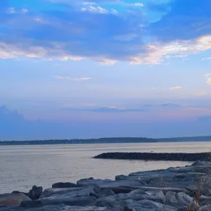 Toni Almeida-russell