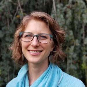 Lydia Carrick EMDR Intensives, EMDR Certified Therapist & Approved Consultant, Licensed Clinical Mental Health Counselor in SEATTLE, WA 98118