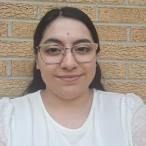 Diamantina Rolfes, LLMSW, Clinical Social Worker  in Ann Arbor, MI 