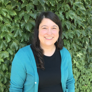 Erin Conley, MA, LCPC, Licensed Professional Clinical Counselor in Evanston, IL 