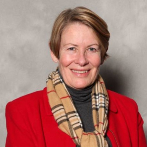 Susan Cain, LCSW, Clinical Social Worker   in Ilinois 