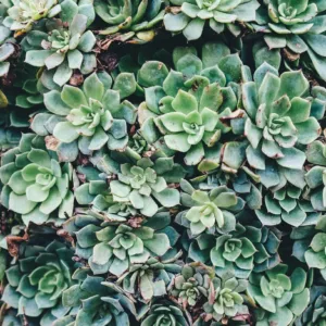 Aliviar Integrative Mental Health, , Psychiatric Nurse Practitioner  in Washington 
