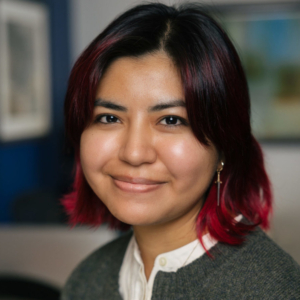 Gulsanam Azieva, MHC-LP, Mental Health Counselor in New York, NY 